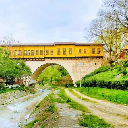 Onuncukoy (adults Only) 3* Бурса