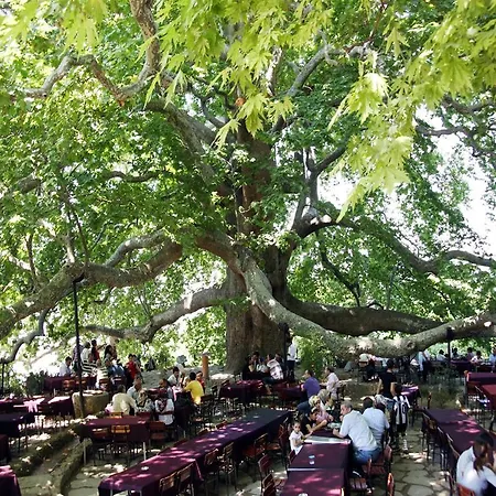 酒店 Onuncukoy (adults Only)