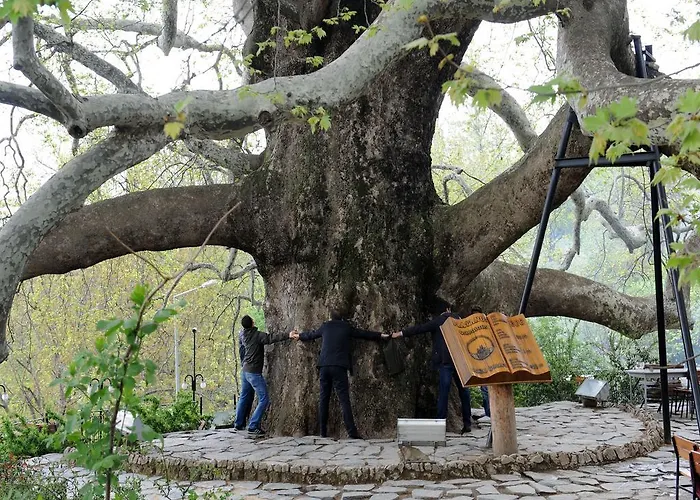 Onuncukoy (adults Only) 3*