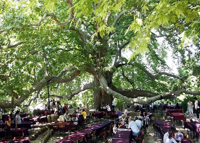 Hotel Onuncukoy (adults Only)